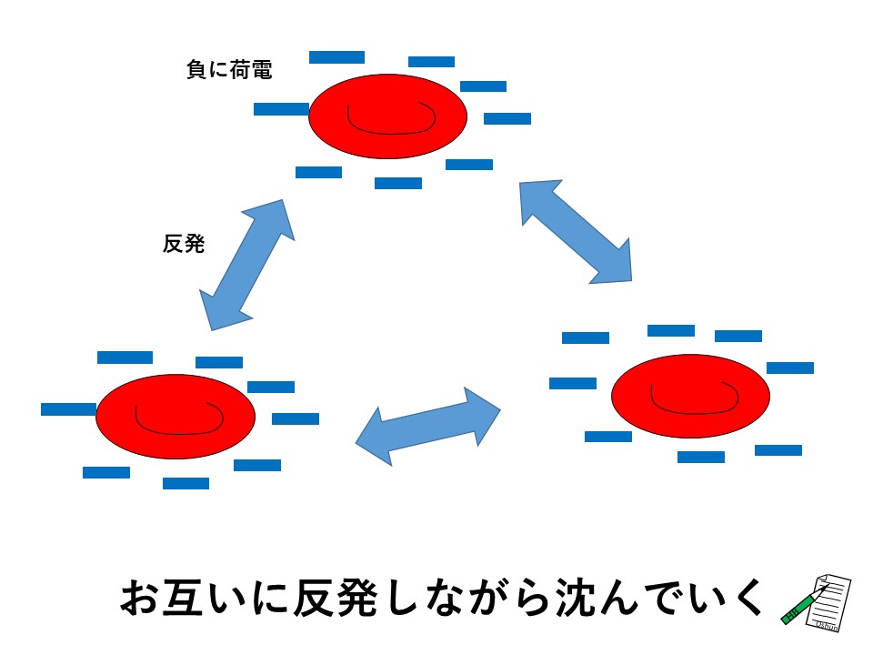 なぜ医師は ESR 血液検査を要求するのでしょうか?
